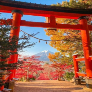 AUTUMN JAPAN_10DAYS_2-11NOV251090