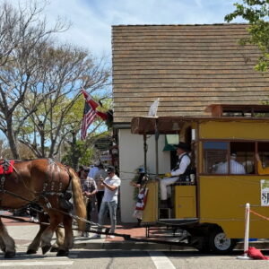 21.SOLVANG HORSES