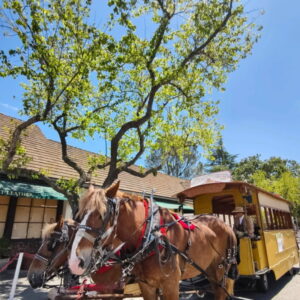 6.SOLVANG-RIDE HORSES