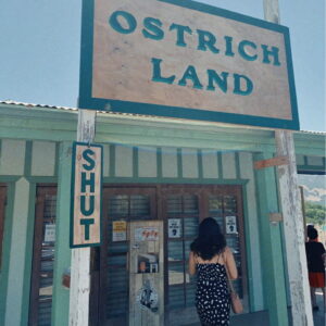 7.OSTRICH USA SIGN