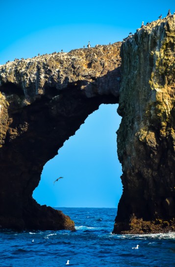 1.ARCH ROCK - CHANNEL ISLANDS