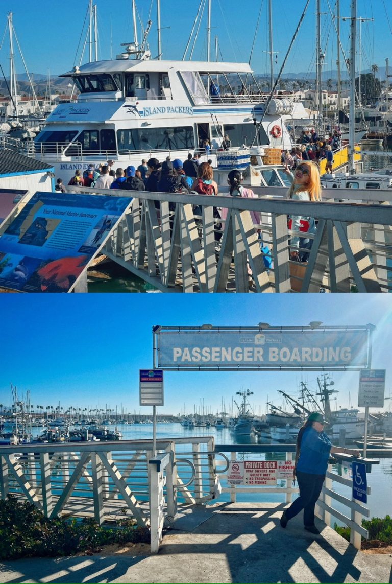 11.CHANNEL ISLAND NATIONAL PARK