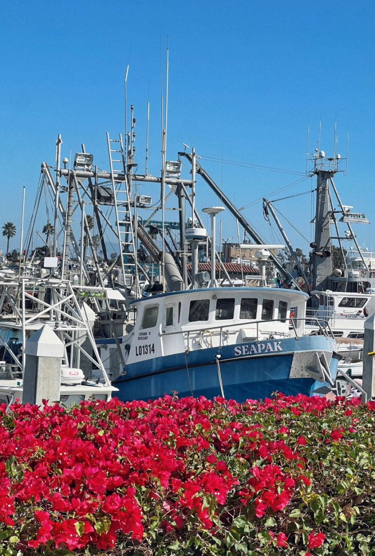 12.CHANNEL ISLAND NATIONAL PARK