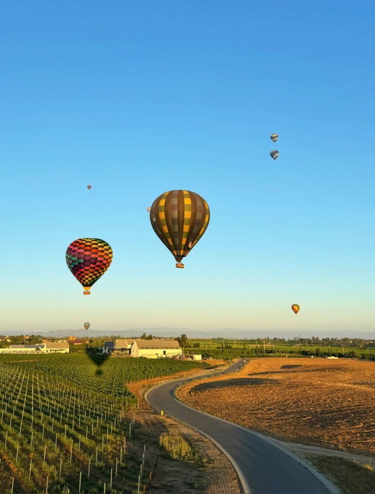 15.HOT AIR BALLON TAMECULA