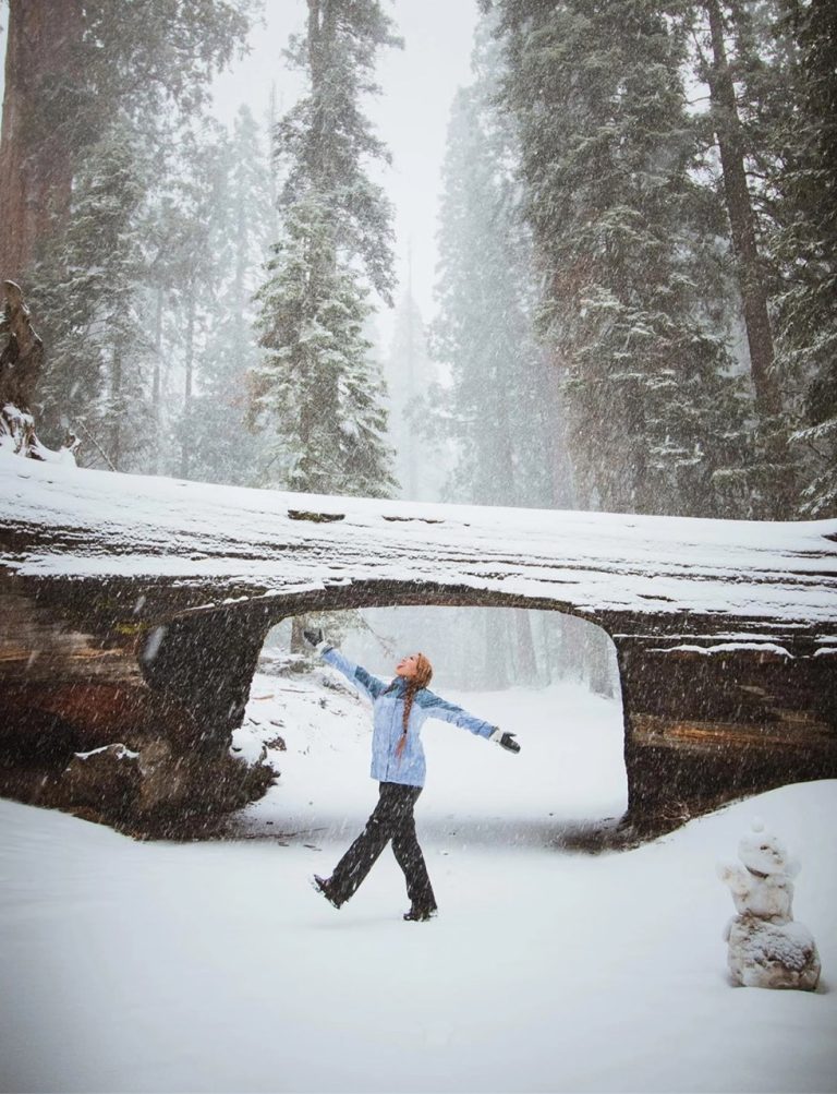 23.SEQUOIA NATIONAL PARK