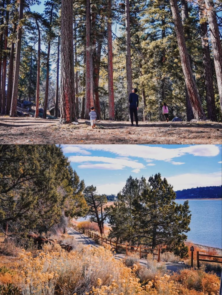 26.BIG BEAR - LAKE