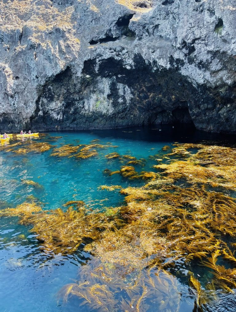 3.CHANNEL ISLAND NATIONAL PARK