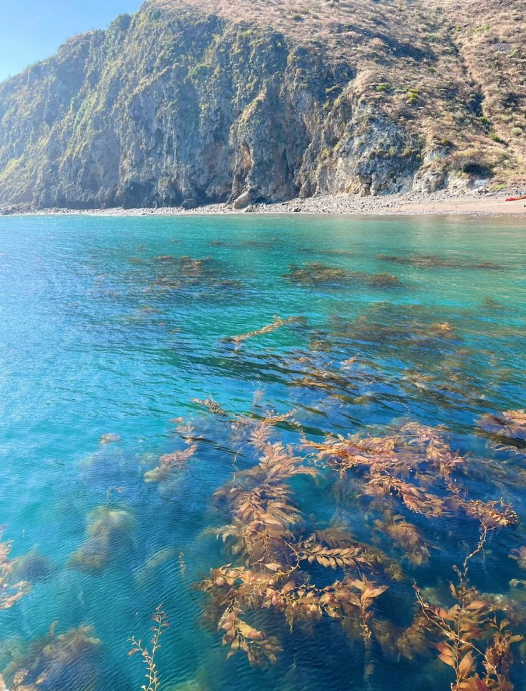 4.CHANNEL ISLAND NATIONAL PARK