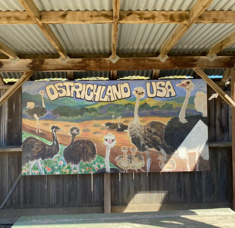 5.OSTRICH USA SIGN