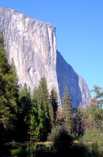 5.YOSEMITE NATIONAL PARK