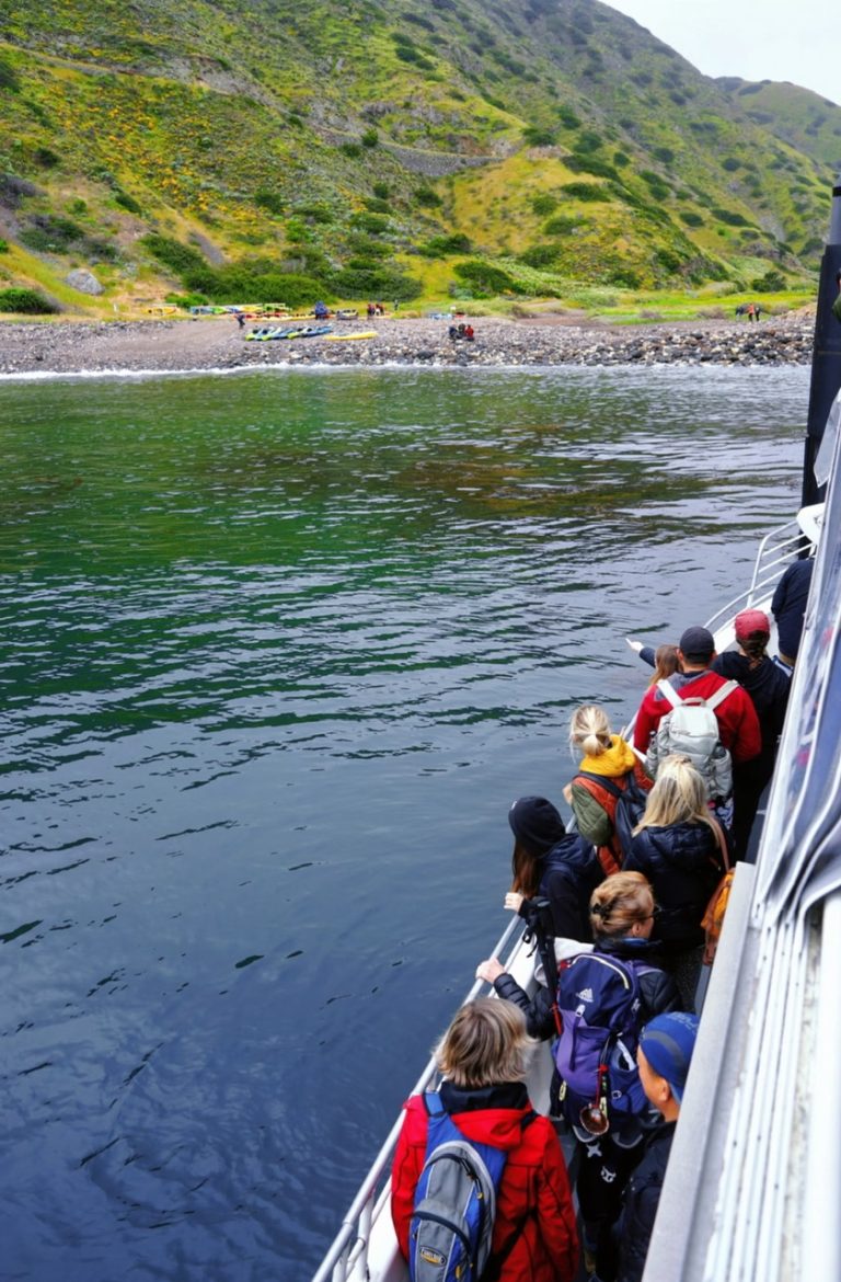 6.CHANNEL ISLAND NATIONAL PARK