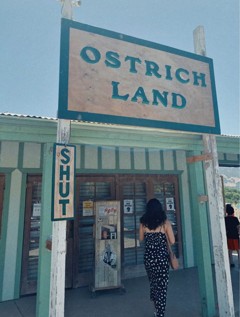 7.OSTRICH USA SIGN