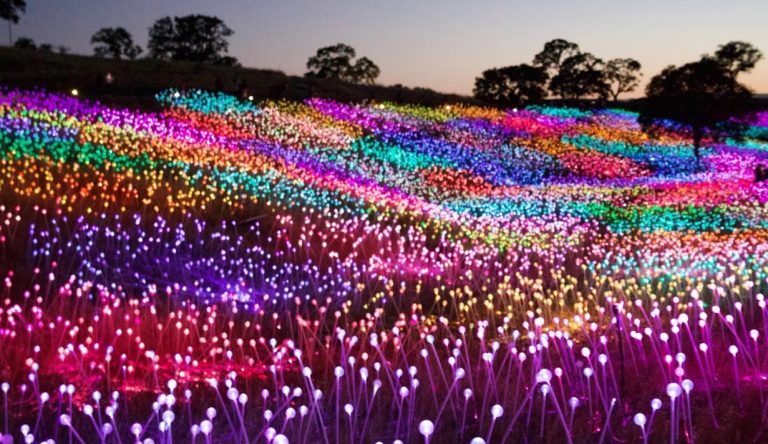 Ảnh chụp màn hình 2022-12-08 154936