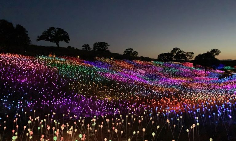 Ảnh chụp màn hình 2022-12-08 154949