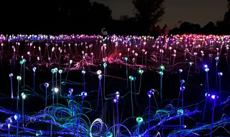 Ảnh chụp màn hình 2022-12-08 155002