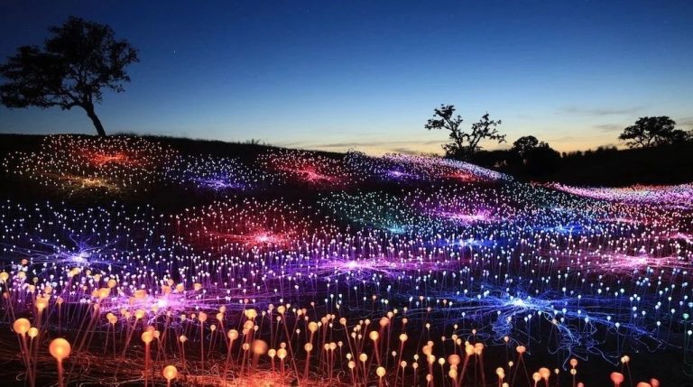 Ảnh chụp màn hình 2022-12-08 155031