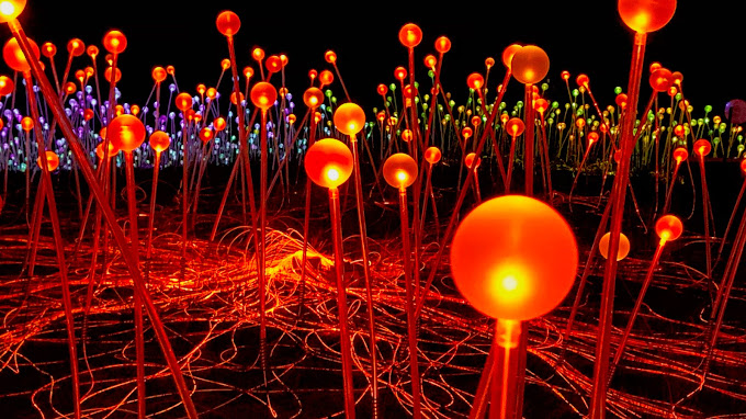 Bruce Munro_ Field of Light At Sensorio