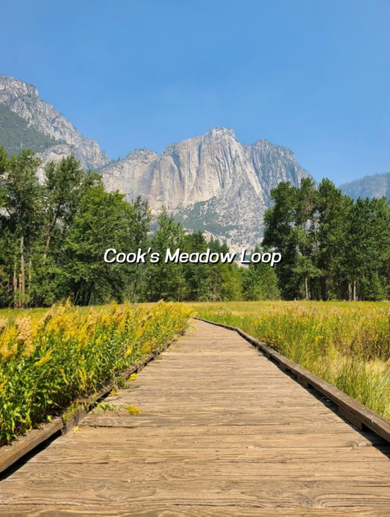 COOK'S MEADOW LOOP
