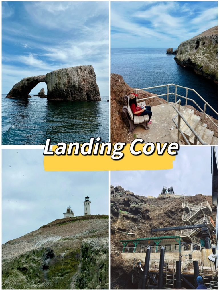 LANDING COVE