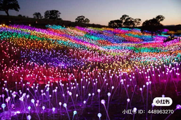 z3945071528814_a27d5e79bc864ea5aea2abfcd4f83d1f