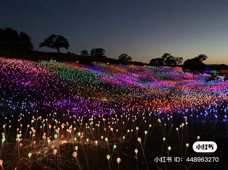 z3945071546712_ef97305860bd8f764c38caf81fd8b44c