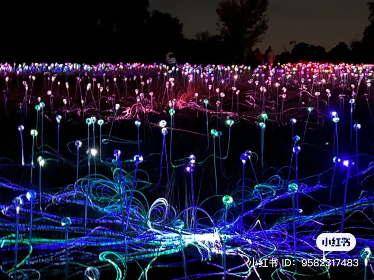 z3945071611340_dd617e13bba526198cb633470d1607f6