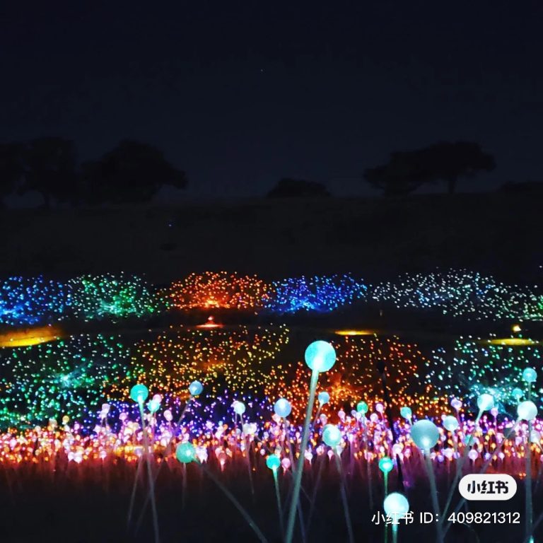 z3945071985894_243c65a79505e89b8163e64274d4efde