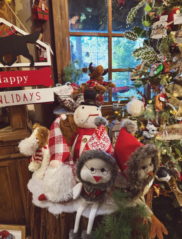 z6765887547489_ba1213d12e443426143e9358f17a7239