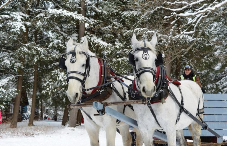 z6765888042180_f1b38a48ef20256f1c6b6f4c71a7dedf