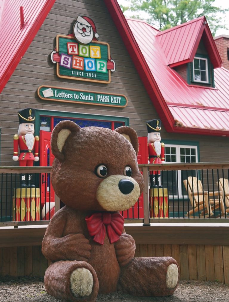 z6765888097240_bcd598b208766fc4e45aa22cc84b5ba4