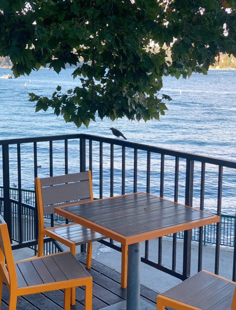 z6765903856672_544100ef6d49715a7a77094444e33b36