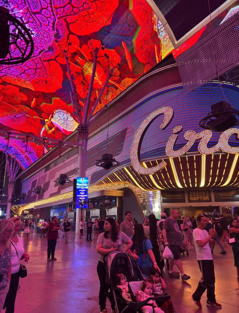 z6785462818905_545871e9d071dd55e736bd6f77232061