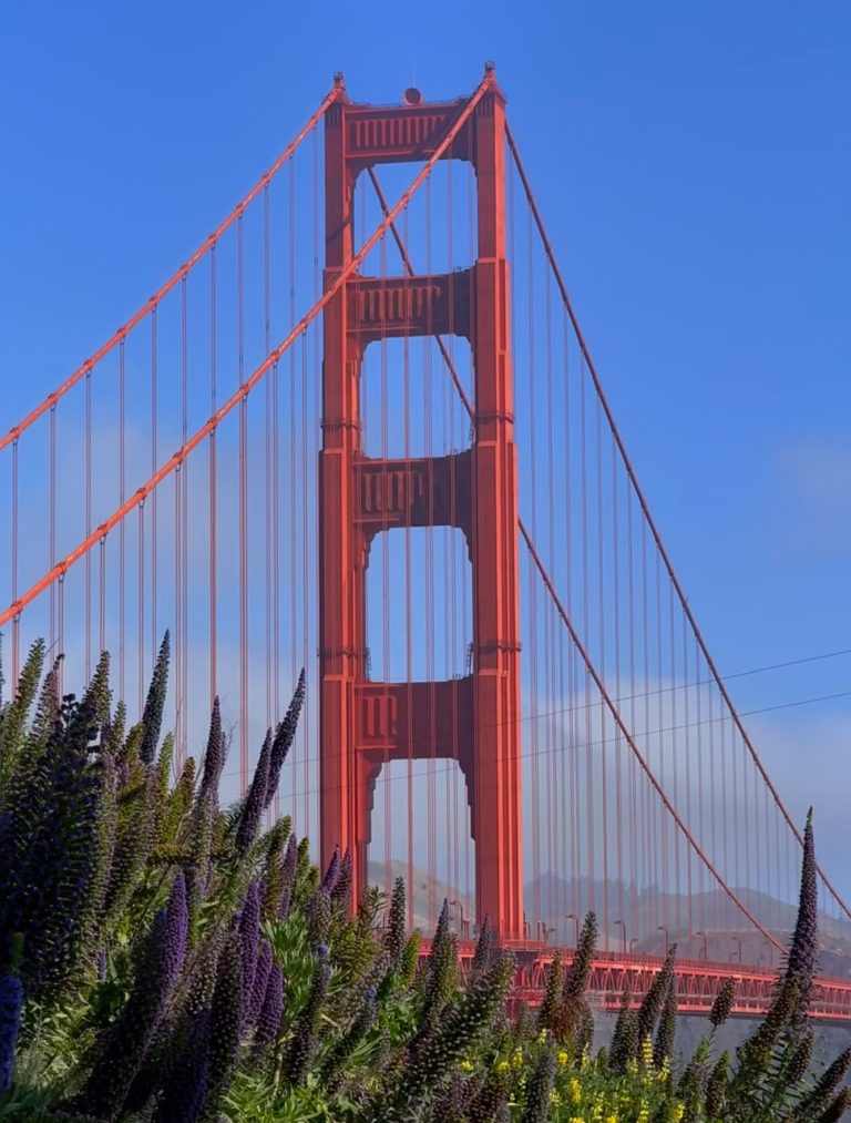 z6785467338343_c9f776c6c2cf162adfb86c7f508a64a0