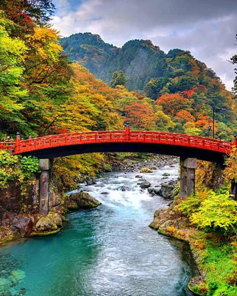 0bb69b8dbb7f4d0995b76e5c0c0aa156