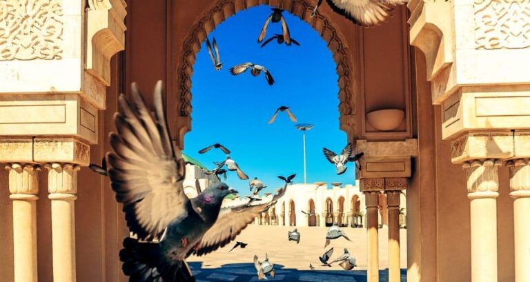 4846-aeroport-montpellier-vols-vers-maroc-50e