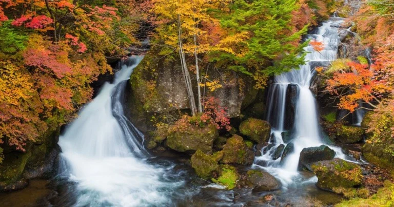 h2-1715223037602539326424-121-0-566-850-crop-17152231867281365282759