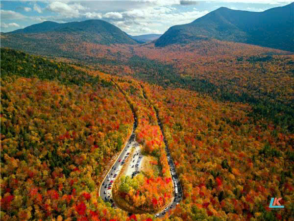 z7774134632045_1f2262b92cf3fde7108540a713cdbb2a