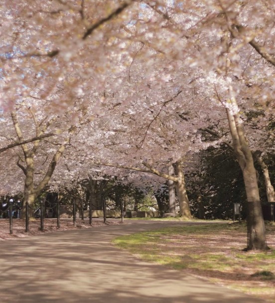 Picture12