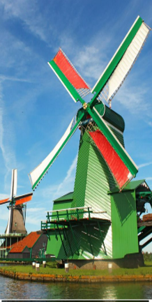 Picture30