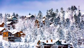8.BIG BEAR WINTER 8.BIG BEAR WINTER